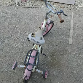 Çaga tigiri ulanylan