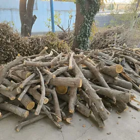 Дрова, дерово тутовое.(тутошка