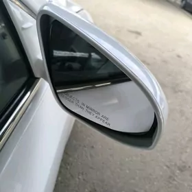 Palta bokowoy original