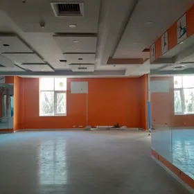 ПО СОВХОЗНОЙ - 250 М2