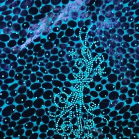 pombarh koynek köýnek