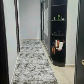 Arenda jaÿ Gogul köçe elitka