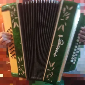 баян "весна"