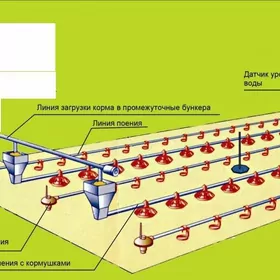 Broýler towuk saklamak üçin enjam 5000 tow.