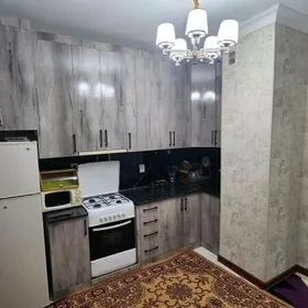 ARENDA JAÝ MIR 8 POLELITKA