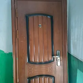 Дверь железная