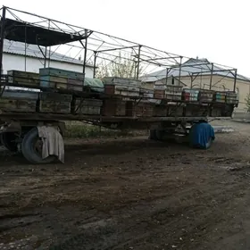 Prisep Polprisep 2022