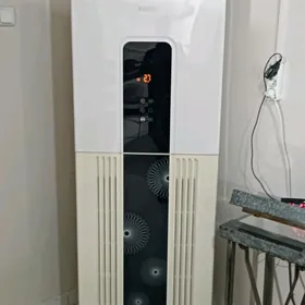 Skaf kansaner westel