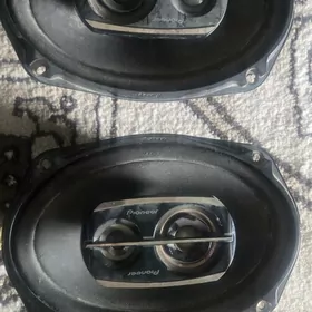 pioneer nikl kalonka