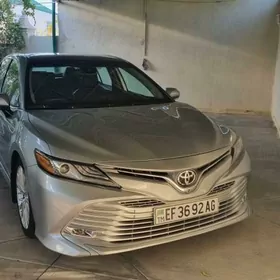 Toyota Camry 2019