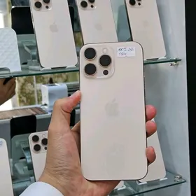 iPhone 16 Pro Max  100