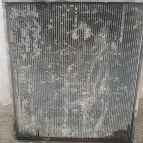 Maz radiator.