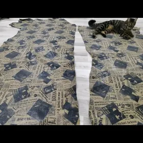 Чехол Cehol koja (İtalya)