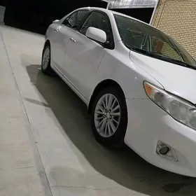 16 lyk diska pokriska