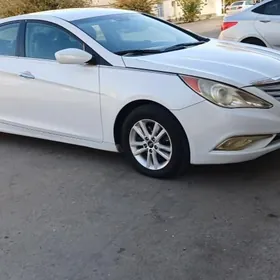 Hyundai Sonata 2010