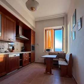 Satlyk Nebitgaz elitka