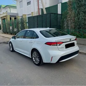 Toyota Corolla 2020