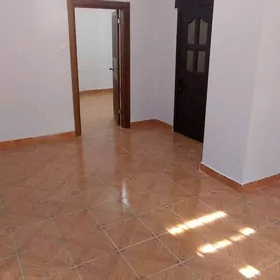 mir2 mir koce padwal