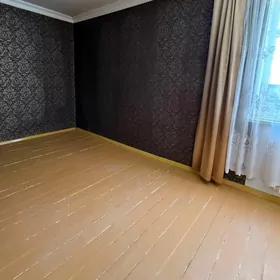 Şok baha Gurtly 2 kom