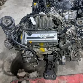 maxima 3.0 lik mator