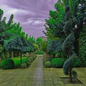 Gowdan W 4/2 3 komnat