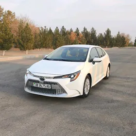 Toyota Corolla 2020