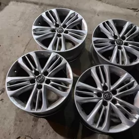 kemri diska arginal 17 lik