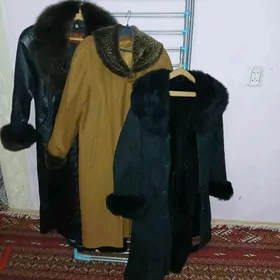 Paltolar, dublýonka, kurtkalar