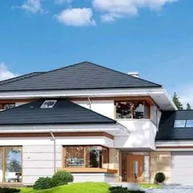 perwyy may koce uly potolok 3