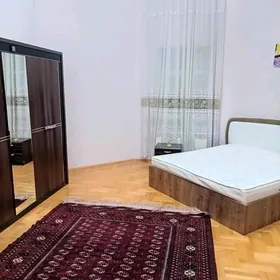 Arenda Mollanepes️ elitka️