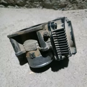 SUNNY ZAZONKA ELEKTRONKA