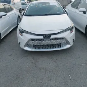 Toyota Corolla 2020