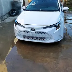 Toyota Corolla 2020