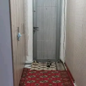 Mir1 4komnat satlyk jay