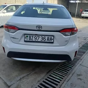 Toyota Corolla 2021