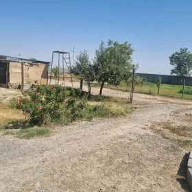 Satlyk jaý ýer Anew Magtymguly