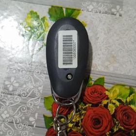 электронный ключ