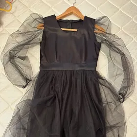 Fatin atlas ruski garylan