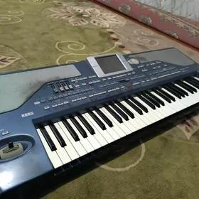 korg pa800