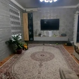 Buzmeyin Gress Arkacka 3+1