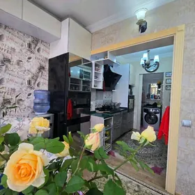 maryskaya  Gaudan  mir mkr 1et