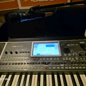 Korg pa900