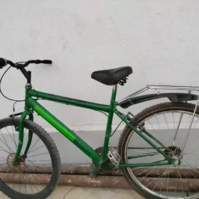 TÜRKMENİSTAN TİGİR