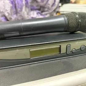 Sennheiser 300