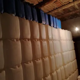 кантцесдир