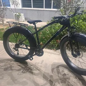 TIGIR LOGA TEKER 26 LIK