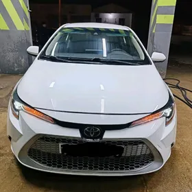 Toyota Corolla 2021