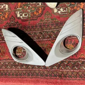 palta camry tumanik plasmas