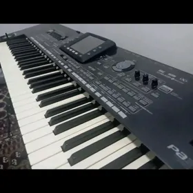 korg pa3 ulusy