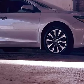 Moyka isgar gerek Zelili kocan